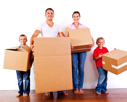 Preparing a clear quotation request for a removal job