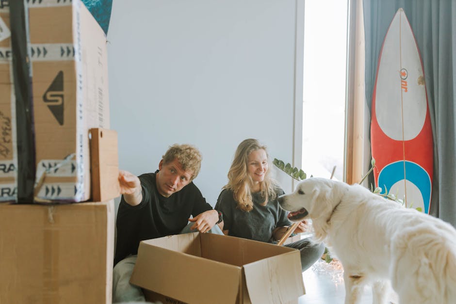 A white retriever dog lies comfortably on a light-colored floor in a room with pale blue walls, appearing relaxed and content. Behind the dog, there are two people, a man and a woman, sitting on the f