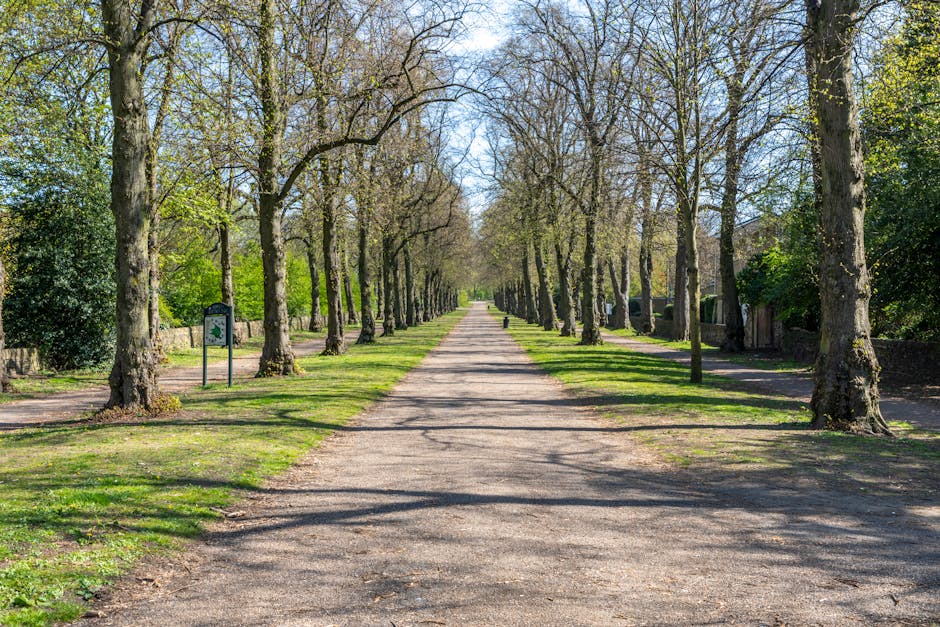 A park area with a winding paved pathway bordered by fallen leaves and tall trees with thick trunks and bare branches, suggesting late autumn or early winter. Two metal benches with decorative armrests are positioned along the path, one in the foreground and another further back near a small green lawn. In the background, a row of residential Victorian-style houses with bay windows and detailed facades line the street, with several parked cars visible along the curb and a white van with orange and grey markings parked on the street. The scene is lit with soft, natural daylight, and the space appears to be a quiet, residential neighborhood undergoing a home relocation process with furniture and packing materials likely being moved nearby by Man With a Van Barking as part of their removals service in the Barking Abbey area.
