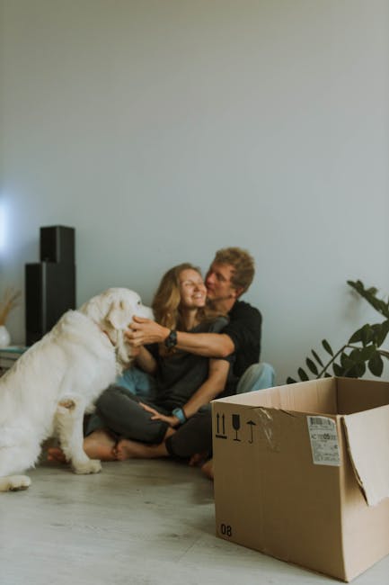A couple sitting on the floor of a bright, minimally decorated room during a home relocation, with a large white Labrador Retriever dog sitting beside them. The woman has long blonde hair and is smiling as she hugs the man, who has short hair and is leaning in toward her. There is a partially open cardboard moving box in the foreground on the wooden floor, along with a tall black speaker and a green potted plant against a plain white wall. The setting suggests the final stages of packing and preparing for a move, with the couple appearing to share a moment of joy during their furniture transport and packing process. This scene reflects the activities involved in professional removals services by Man With a Van Barking, as part of a comprehensive house removal, highlighting the importance of careful packing, emotional moments, and the moving logistics associated with home relocation.